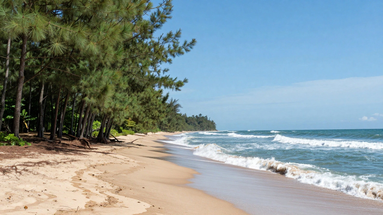 Terrestrial vs Aquatic Ecosystems: Understanding the Two Main Groups