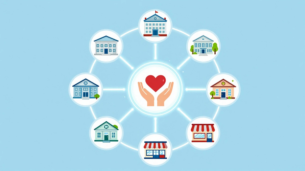 Diagram illustrating community partnership connections