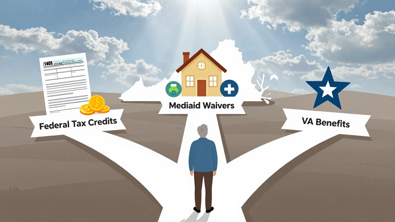 Illustration of pathways for elderly care benefits in Virginia