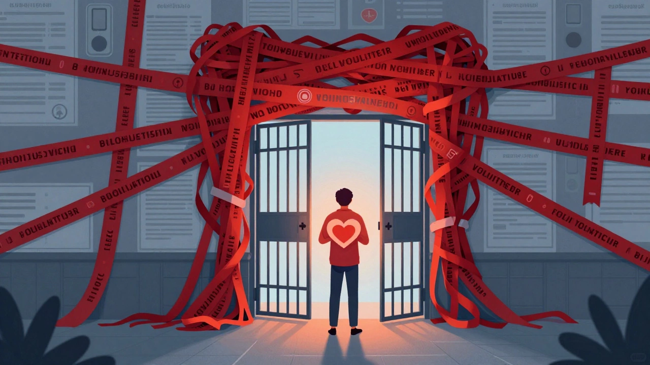 Person blocked by wall of bureaucratic red tape and forms