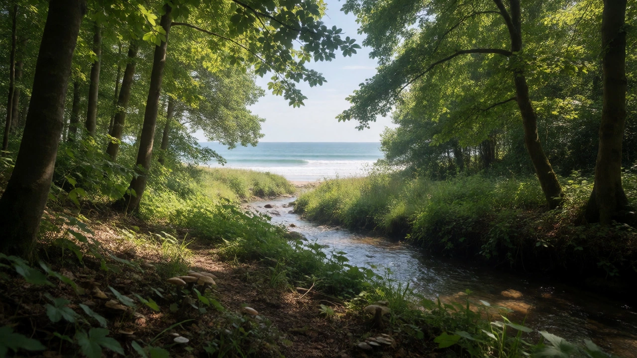 Sunlit restored UK woodland and clean coastline showcasing biodiversity